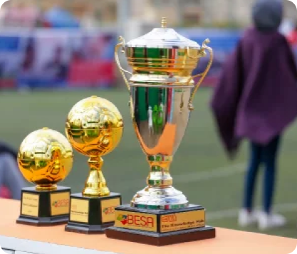 Width: 417px, Height: 356px Trophies